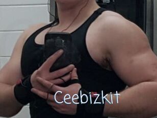 Ceebizkit
