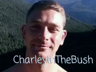 CharleyInTheBush