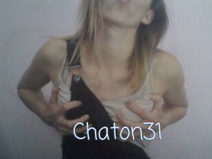 Chaton31