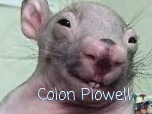 Colon_Plowell
