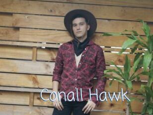 Conall_Hawk
