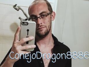 ConejoDragon8886