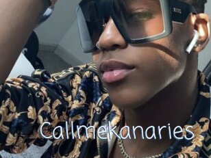 Callmekanaries