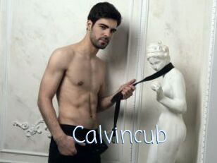 Calvincub
