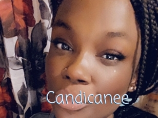 Candicanee
