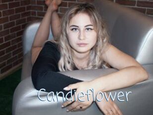 Candieflower