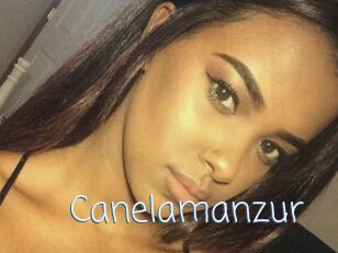 Canelamanzur