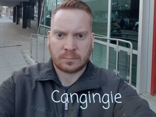 Cangingie