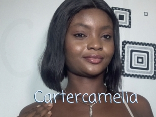Cartercamelia