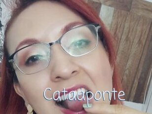 Cataaponte
