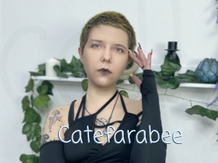 Catefarabee