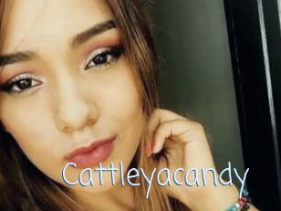 Cattleyacandy