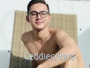 Ceddiecollins