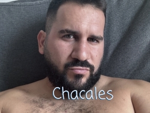 Chacales