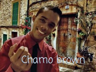 Chamo_brown