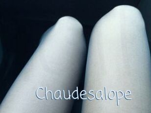 Chaudesalope