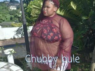 Chubby_bule
