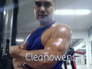 Cleanowens