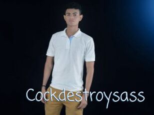 Cockdestroysass
