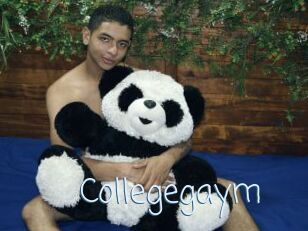 Collegegaym