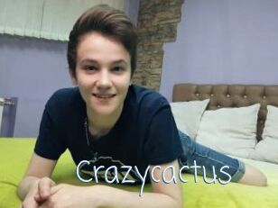 Crazycactus