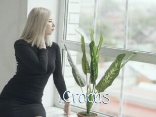 Crocus