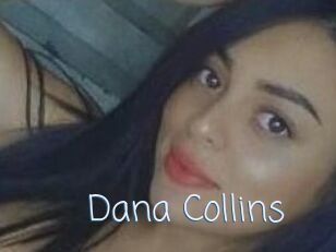 Dana_Collins