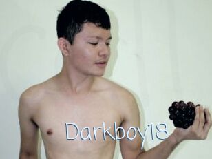 Darkboy18