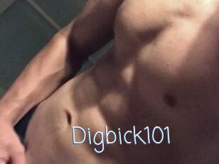 Digbick101