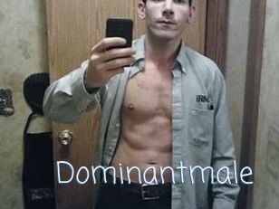 Dominantmale