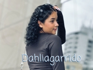 Dahliagarrido