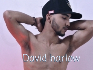 david_harlow Callsex