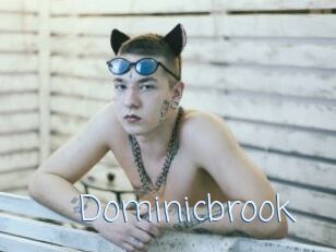 Dominicbrook