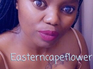 Easterncapeflower