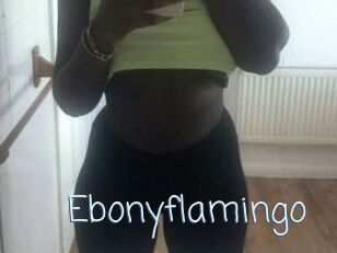 Ebony_flamingo