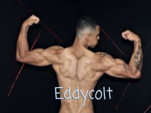 Eddycolt