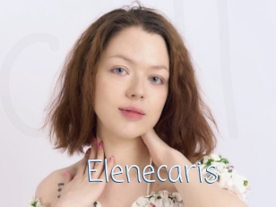 Elenecaris