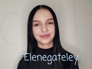 Elenegateley