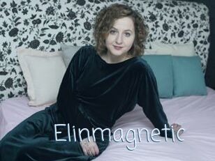 Elinmagnetic