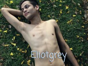 Eliotgrey