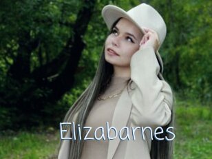 Elizabarnes