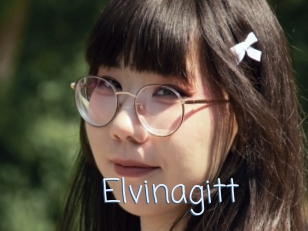 Elvinagitt
