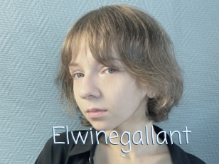 Elwinegallant