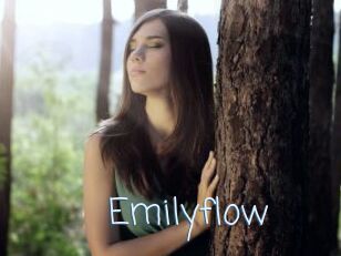 Emilyflow