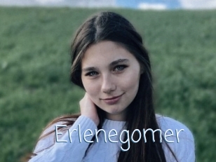 Erlenegomer