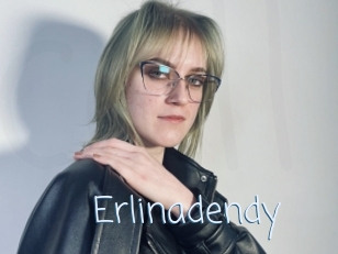 Erlinadendy