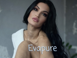 Evapure