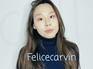 Felicecarvin