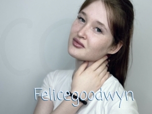 Felicegoodwyn