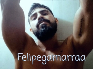 Felipegamarraa